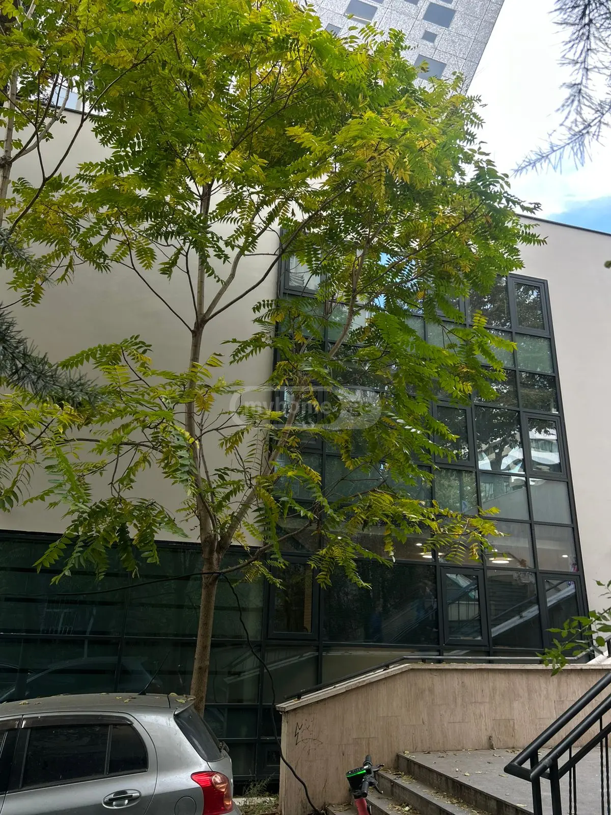  ქირავდება 246 m² ფართობის კომერციული ფართი ვაკეში  ძმები კიკნაველიძეების ქუჩაზე 