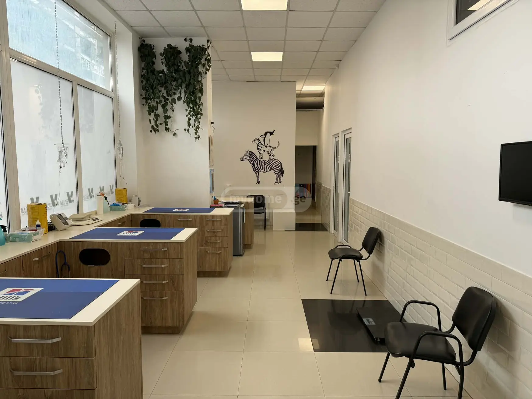  Сдаётся 100 m² площадь Коммерческая площадь в Сабуртало  на ул. Ана Политковская 