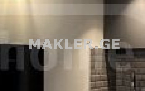  For Rent 2 room  Apartment in Vake dist.  in T.Tabidze st. 