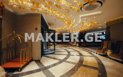  Продается 5600 m² площадь Коммерческая площадь в Чугурети  на ул. Д. Узнадзе 