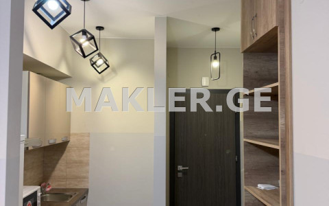  For Rent 2 room  Apartment in Saburtalo dist.  in Kartozia st. 