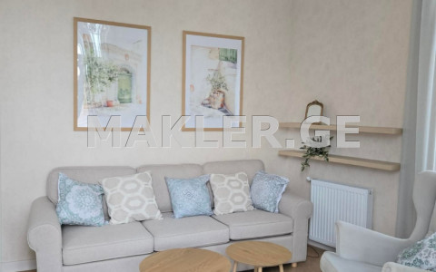  For Rent 2 room  Apartment in Mtatsminda dist. (Old Tbilisi)  in Rustaveli ave. 