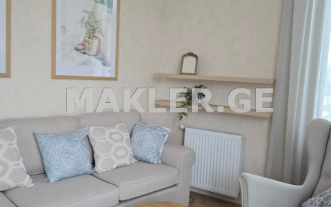  For Rent 2 room  Apartment in Mtatsminda dist. (Old Tbilisi)  in Rustaveli ave. 