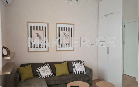  Kiralık 2   Daire in Mtatsminda dist. (Old Tbilisi)  in Rustaveli ave. 