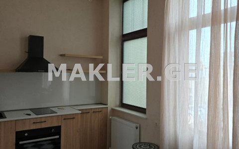  Kiralık 2   Daire in Mtatsminda dist. (Old Tbilisi)  in Rustaveli ave. 