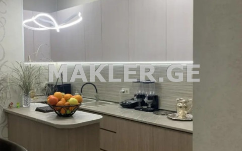  For Rent 3 room  Apartment in Saburtalo dist.  in O. Lortkipanodze st. 