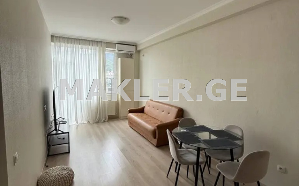  For Rent 2 room  Apartment in Saburtalo dist.  in K. Kutateladze st. 