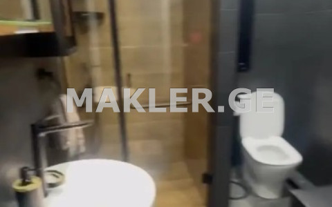  Kiralık 2   Daire in Vake dist.  Giorgi Danelia St 