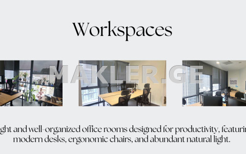  For Rent 289 m² space Office in Vake dist.  in I. Chavchavadze Ave. 
