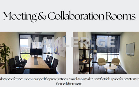  For Rent 289 m² space Office in Vake dist.  in I. Chavchavadze Ave. 