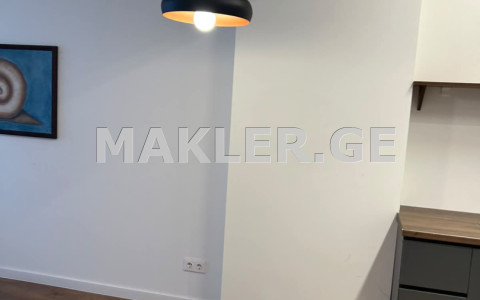  For Rent 2 room  Apartment in Vake dist.  in Kipshidze st. 