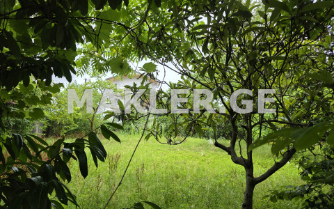  For Sale 500 m² space Land in Chakvi