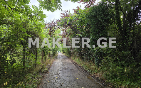  For Sale 500 m² space Land in Chakvi