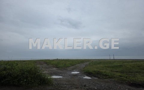  For Sale 1500 m² space Land in Chakvi