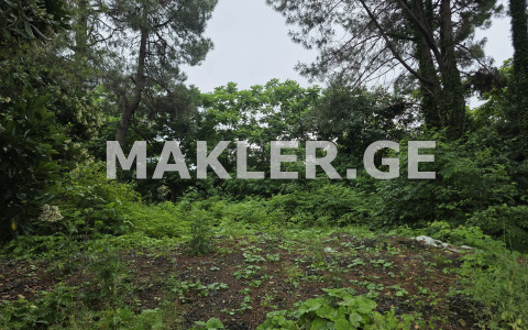  For Sale 1500 m² space Land in Chakvi
