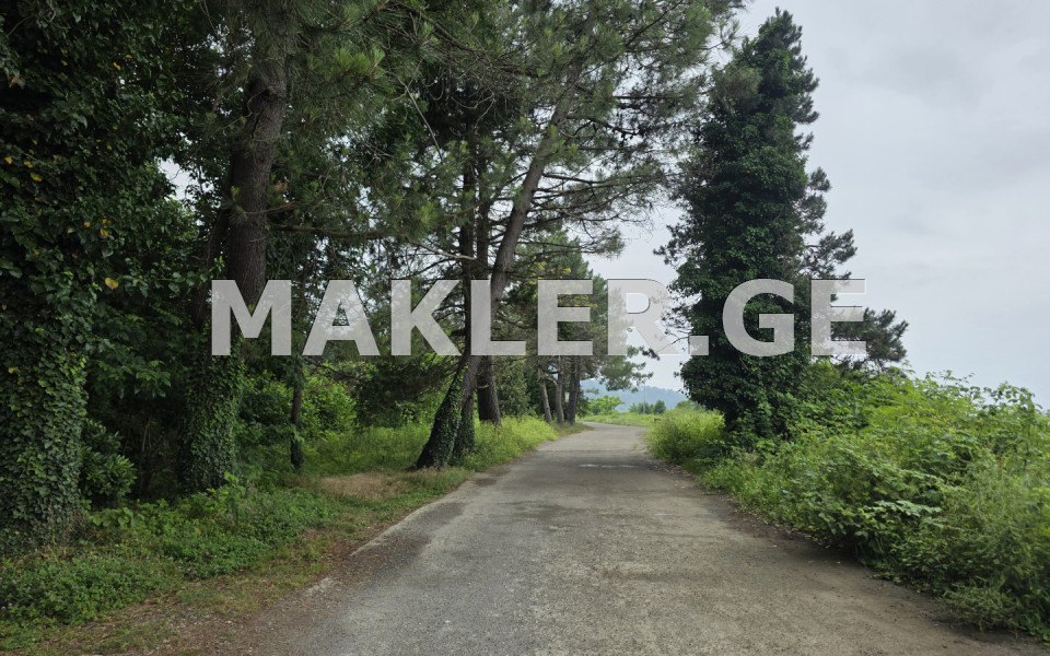  For Sale 1500 m² space Land in Chakvi
