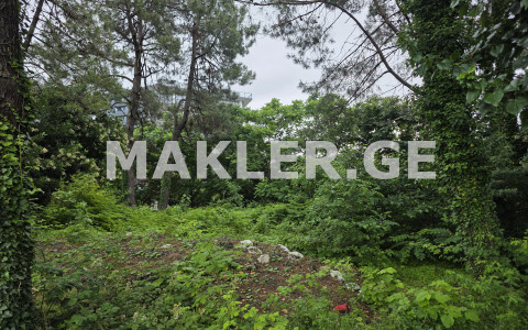  For Sale 1500 m² space Land in Chakvi