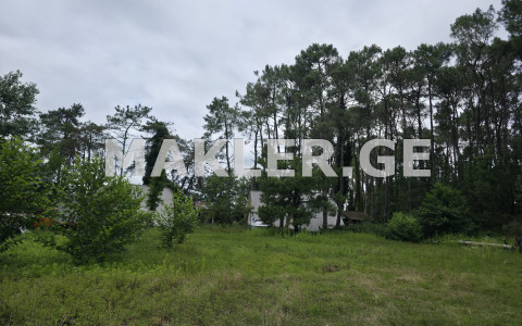  Продается 8000 m² площадь Земля в Уреки