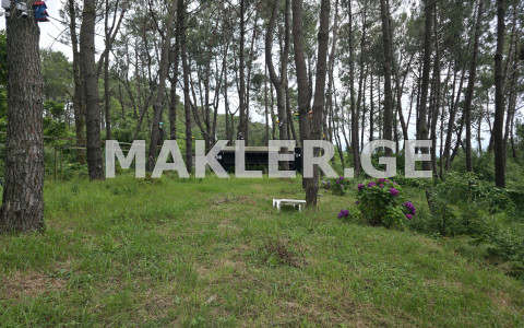  للبيع 1600 m² space أراضي in Shekvetili