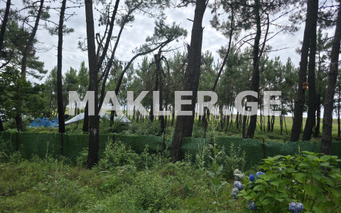  Satılık 1600 m²  Arsa in Shekvetili