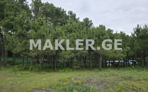  Satılık 1600 m²  Arsa in Shekvetili
