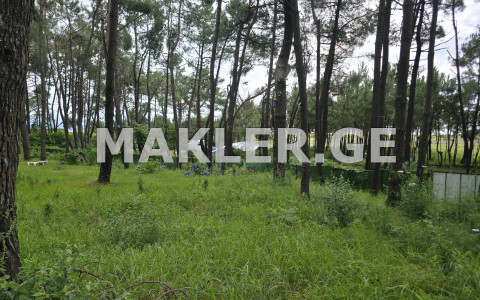  Satılık 1600 m²  Arsa in Shekvetili