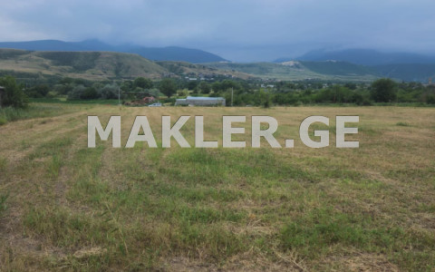  For Sale 3609 m² space Land in Kaspi