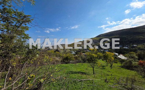  იყიდება 3173 m² ფართობის მიწა მცხეთაში