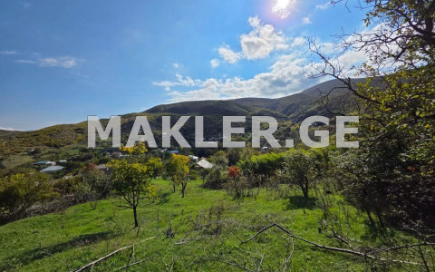 იყიდება 3173 m² ფართობის მიწა მცხეთაში