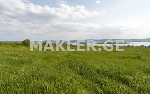  للبيع 79000 m² space أراضي near the Lisi lake  in Leo Kvadchadze st 
