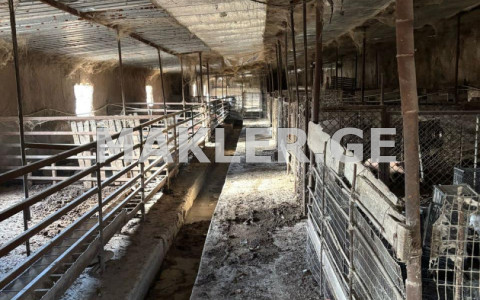  למכירה 30000 m² מֶרחָב מסחרי חלל in Sagarejo