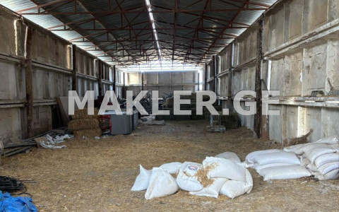  למכירה 30000 m² מֶרחָב מסחרי חלל in Sagarejo
