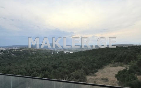  למכירה 4 חֶדֶר  דִירָה near the Lisi lake  in cacxvebi st 