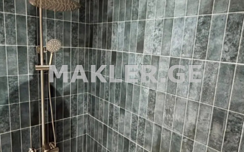  للبيع 2 room  الشقة في منطقة سابورتالو  In Fermtserta St. 