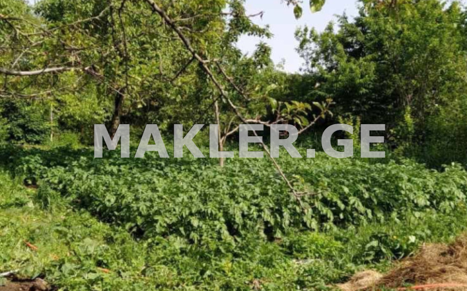  للبيع 1000 m² space أراضي in Kojori
