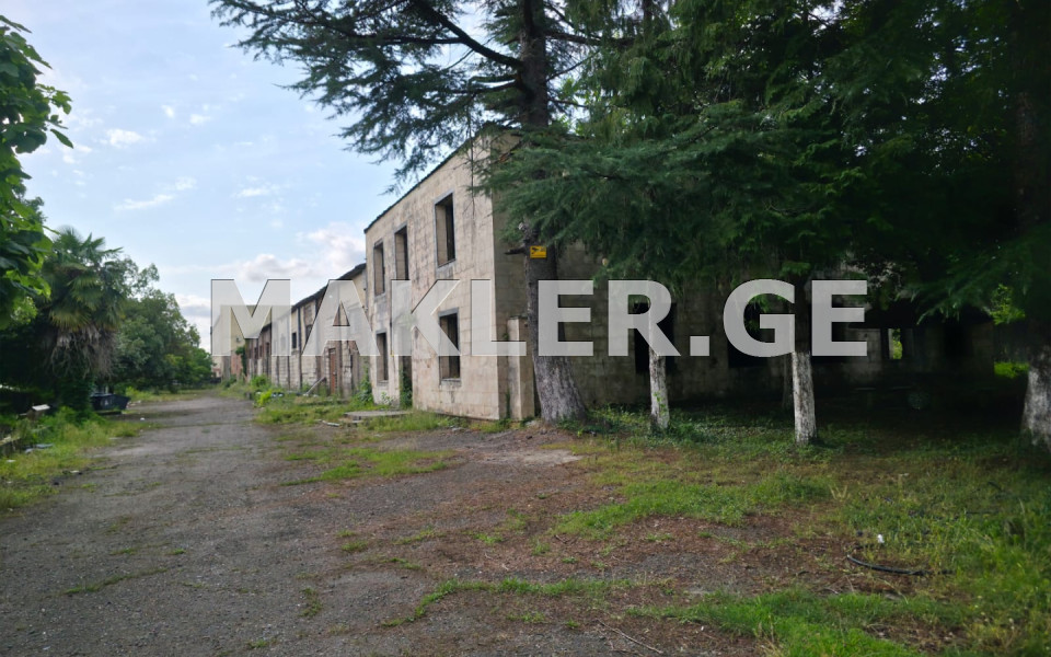  出售 14000 m² space 土地 in Ozurgeti