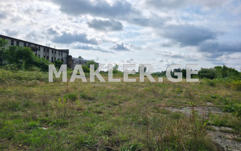  出售 14000 m² space 土地 in Ozurgeti