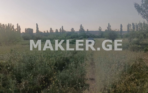  للبيع 1500 m² space أراضي in Lilo dist.