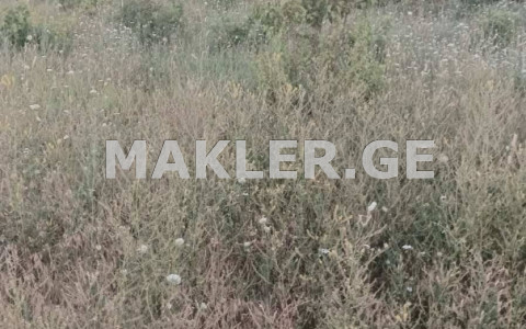  למכירה 1500 m² מֶרחָב אֶרֶץ in Lilo dist.