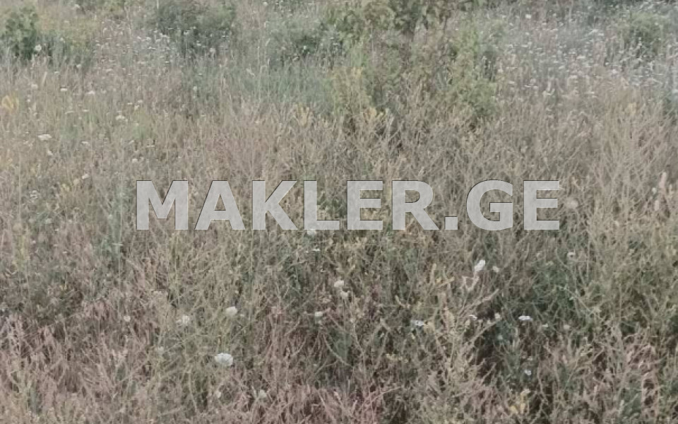  للبيع 1500 m² space أراضي in Lilo dist.