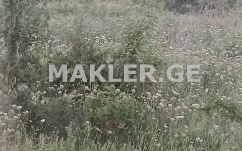  للبيع 1500 m² space أراضي in Lilo dist.