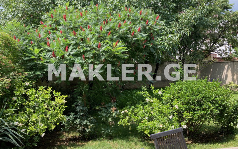  Satılık 340 m²  Villa in Didi digomi dist.  in Shermadini st. 