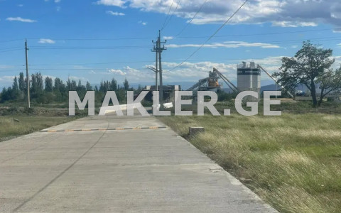  ქირავდება 5219 m² ფართობის მიწა ლილოში