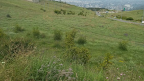 იყიდება 1000 m² ფართობის მიწა მთაწმინდაზე